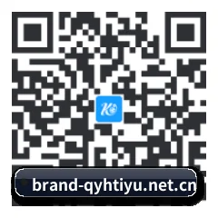 iOS 苹果生态原生版 二维码